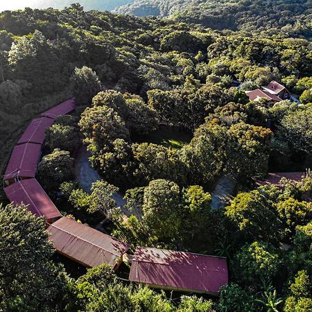El Bosque Lodging Villa Monteverde Esterno foto
